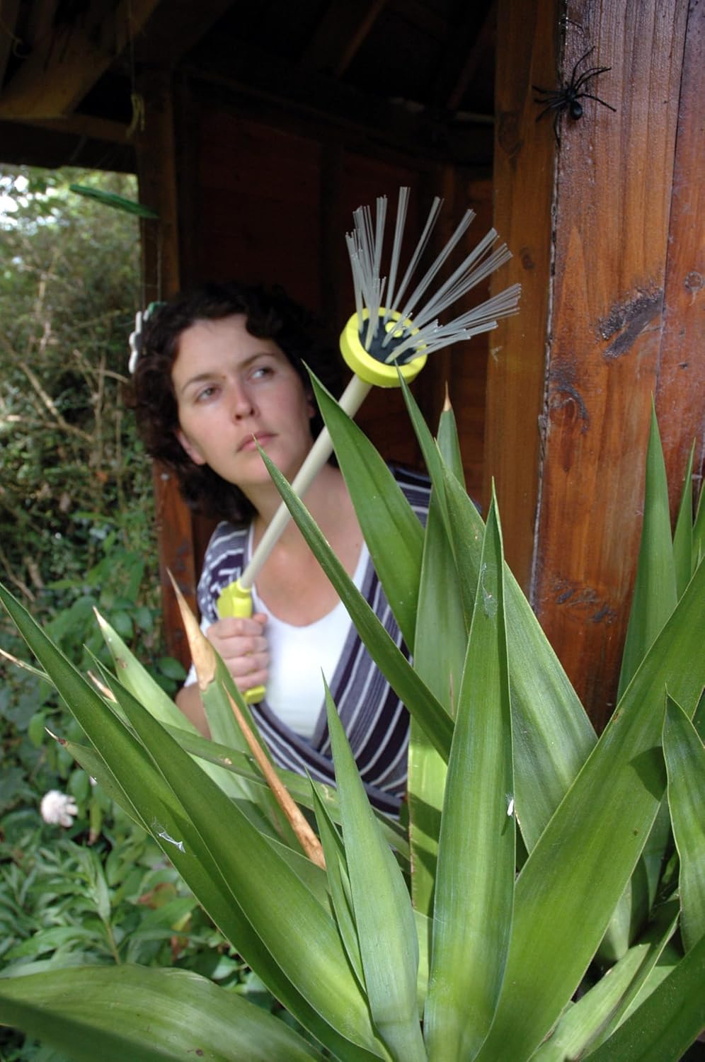 SpySpider™ - Humane Spider Catcher