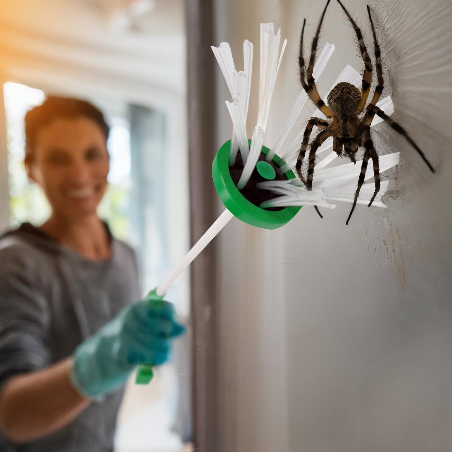 SpySpider™ - Humane Spider Catcher